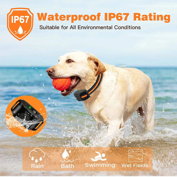 Ultimate Dog Training Remote