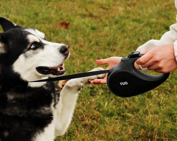 Ultimate Tangle-Free Dog Leash