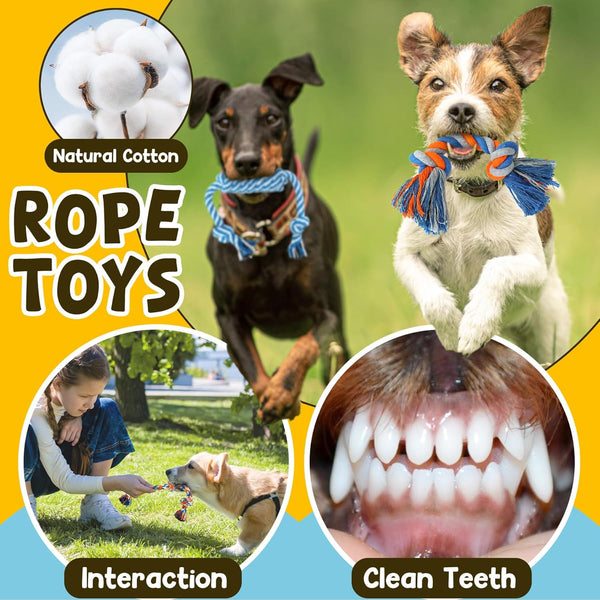 Adorable Puppy Playtime Set