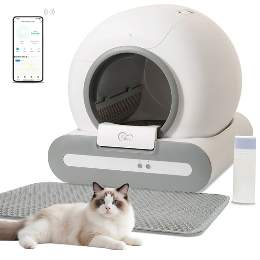 Smart Cat Litter Box Solution