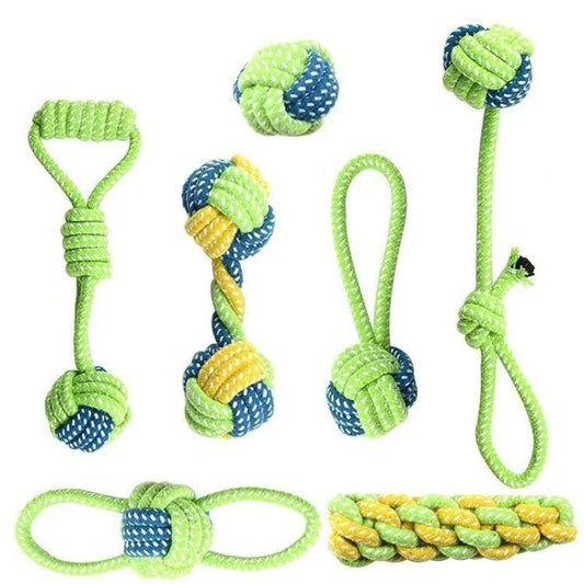 Fun & Safe Dog Play Bundle