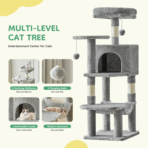 Tall Cat Climbing Adventure