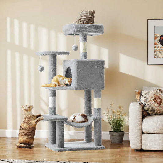 Tall Cat Climbing Adventure