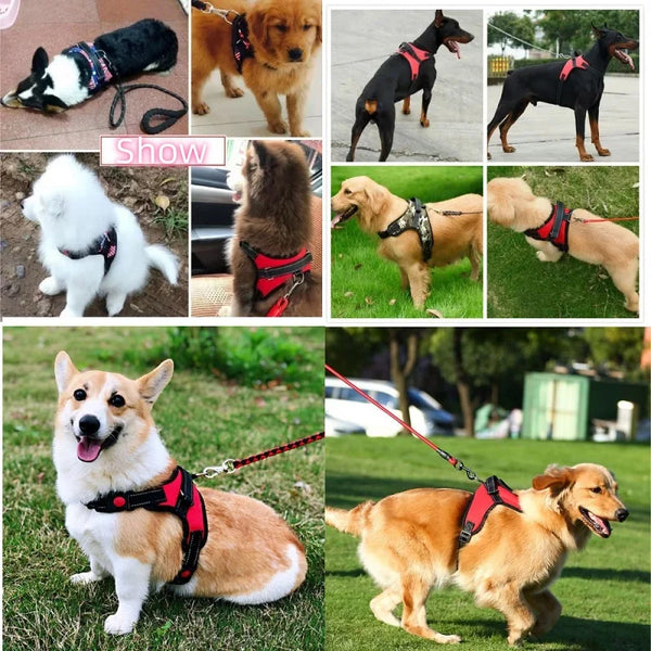 Comfy Dog Harness Vest